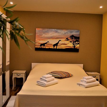 Studio Apartments Luka Biograd - Benkovac Pokoj fotografie