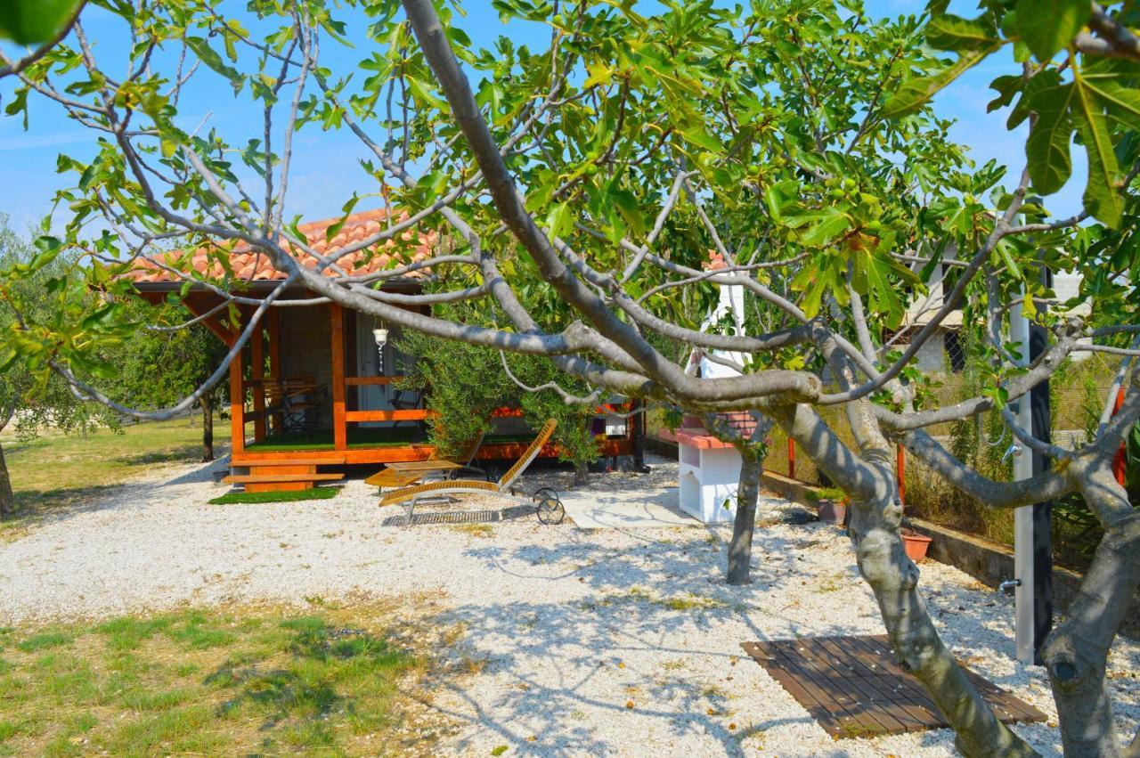 Studio Apartments Luka Biograd - Benkovac Exteriér fotografie