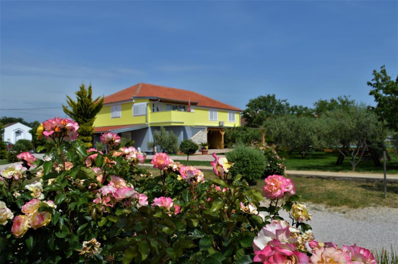 Studio Apartments Luka Biograd - Benkovac Exteriér fotografie